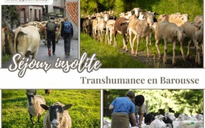 Week-end Transhumance les 6 & 7 juin