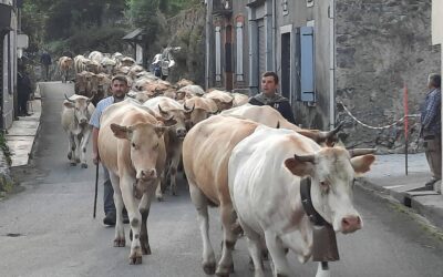 Crise agricole : les maires de la Communauté de communes Neste-Barousse manifestent leur soutien aux éleveurs