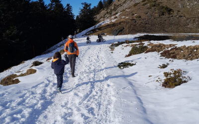 Nistos Cap Nestes ; une ouverture très encourageante !