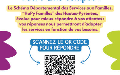 Questionnaire – SCHÉMA DÉPARTEMENTAL DES SERVICES AUX FAMILLES « HaPy Familles »