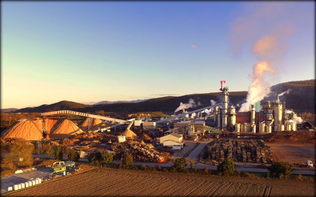 Motion de soutien à l&rsquo;usine Fibre Excellence de Saint-Gaudens