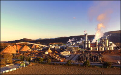 Motion de soutien à l&rsquo;usine Fibre Excellence de Saint-Gaudens